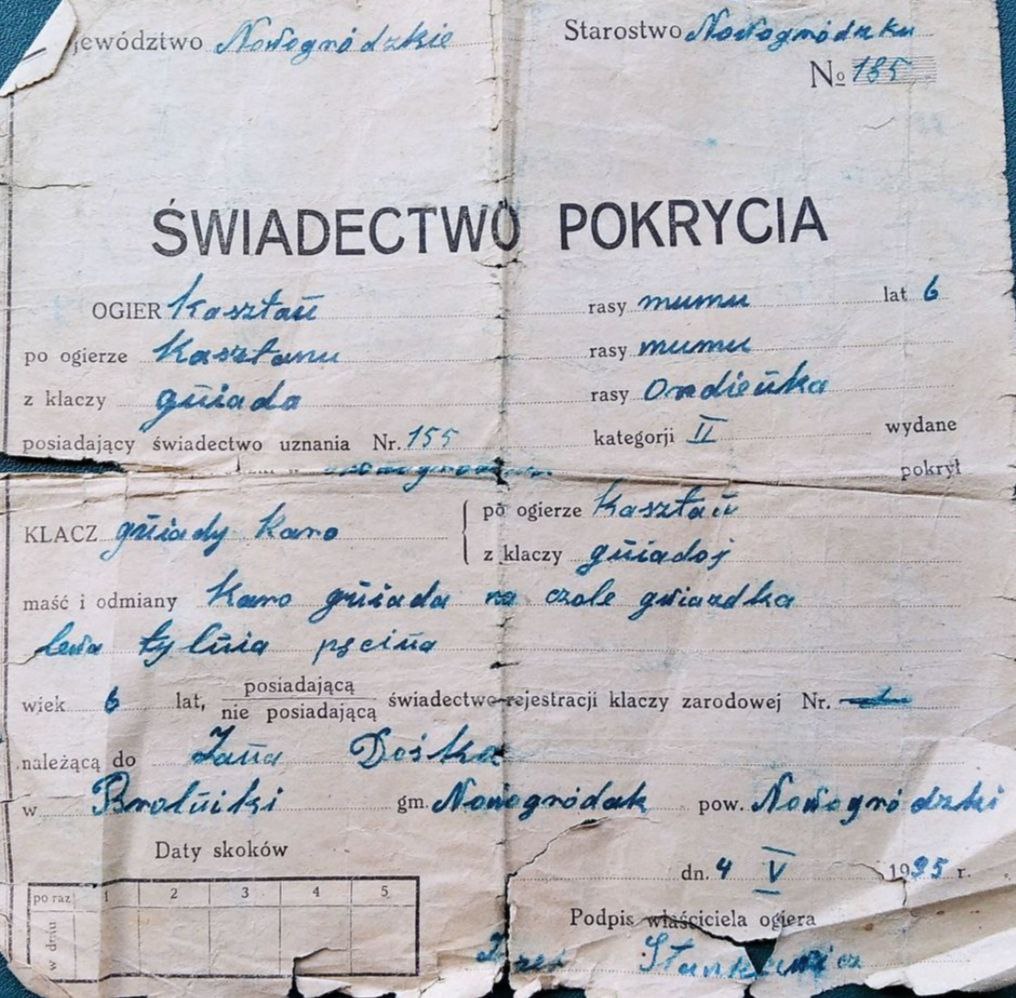 Свидетельство Новогрудское воеводство.jpg