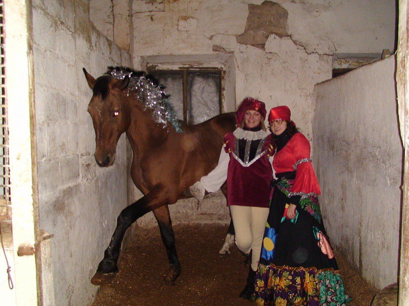 татерсаль грязь.jpg