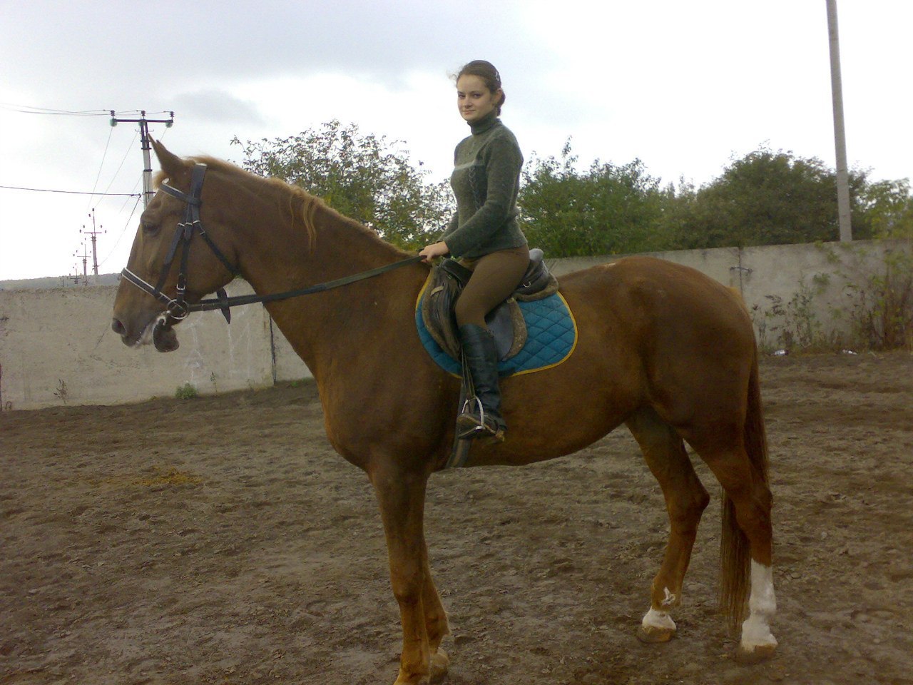 татерсаль хромая.jpg