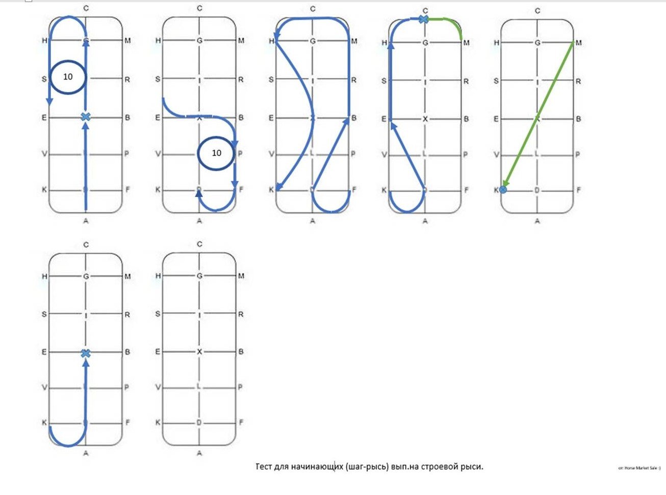 Тест для начинающих (шаг-рысь).jpg