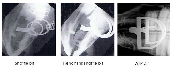 TFOAMetjOfk.jpg