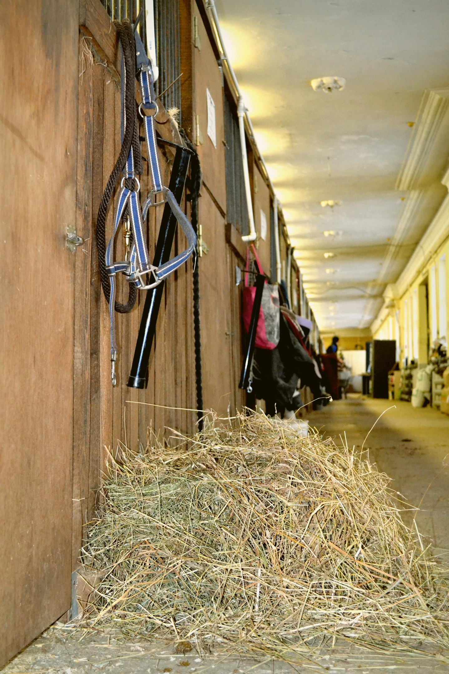 The stable.jpg