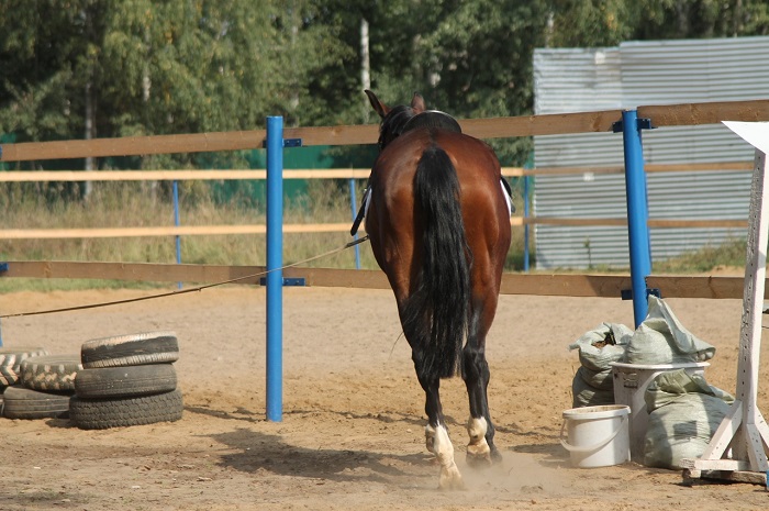 TJOVc9HHlA0.jpg