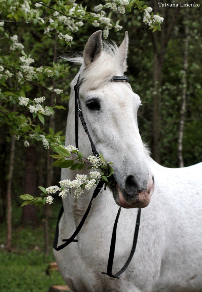 TndnQj6MAFU — копия.jpg