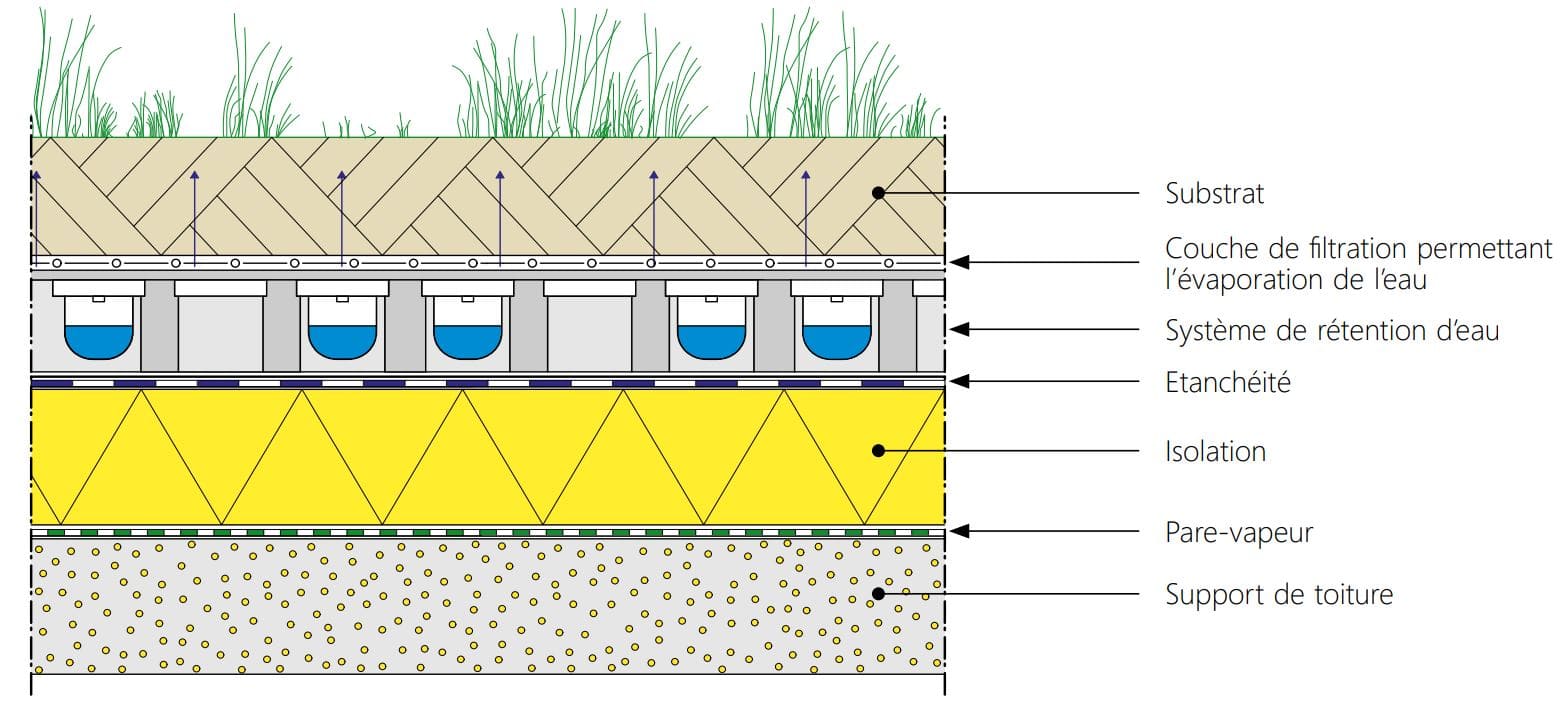 toiture-plate-vegetale-retention-eau.jpg