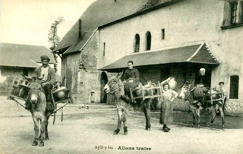 Transport-lait-1.jpg