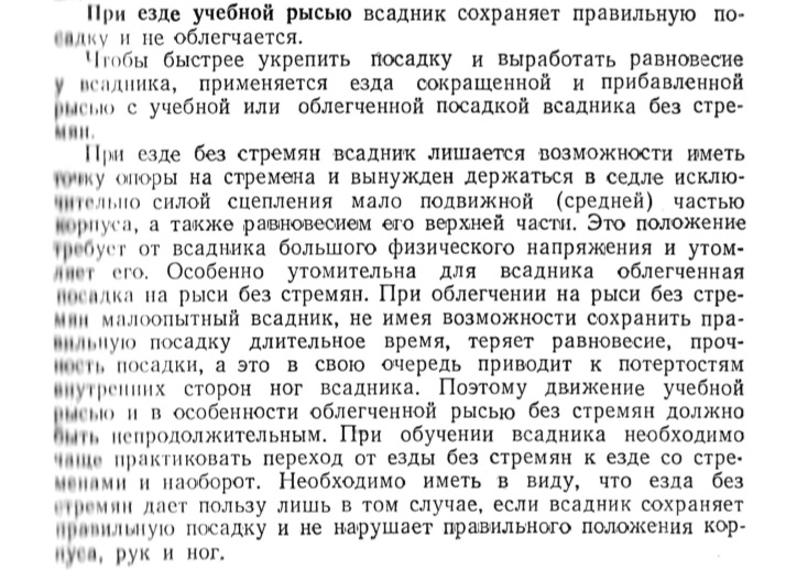 учебная рысь.jpg