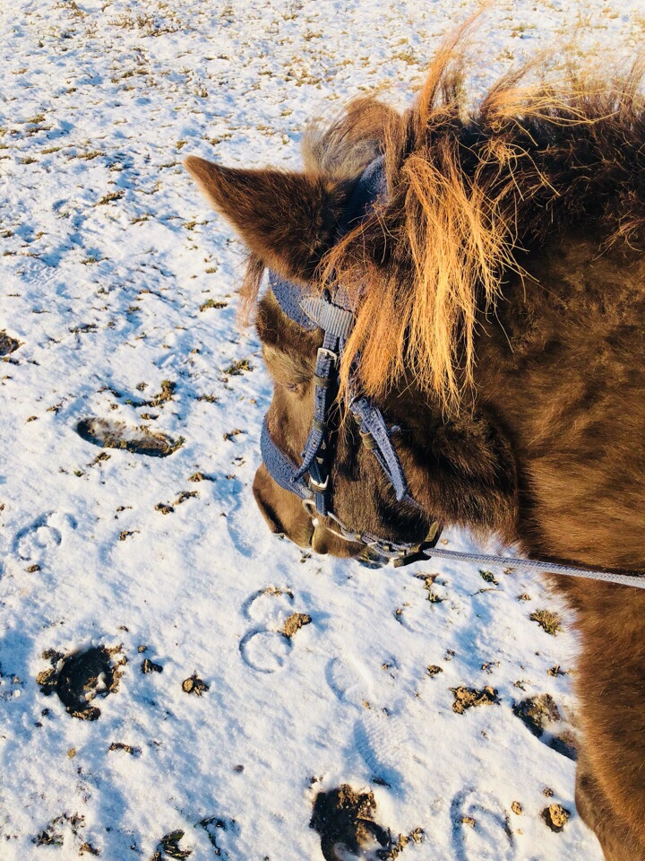 upload_2019-12-1_23-18-38.jpeg