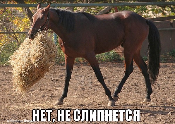 UzS_8XTo6wg.jpg