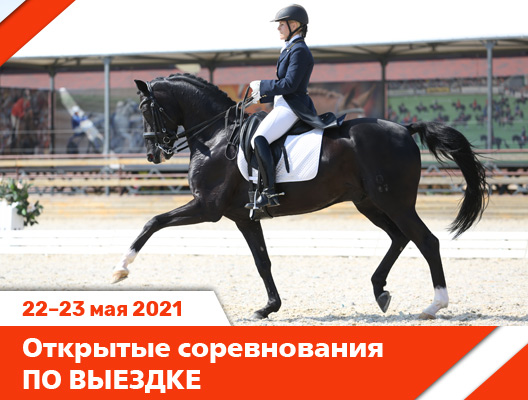 v222352021.jpg