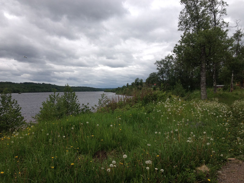 V_1348.jpg