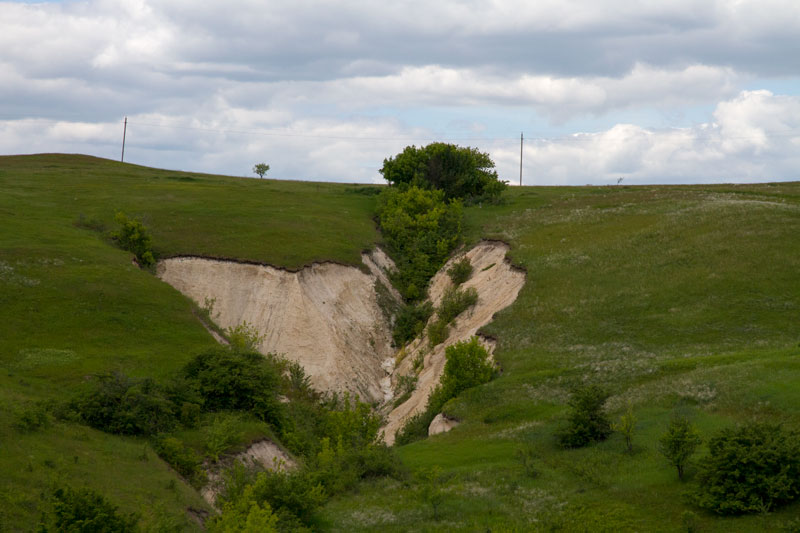 V_3256.jpg