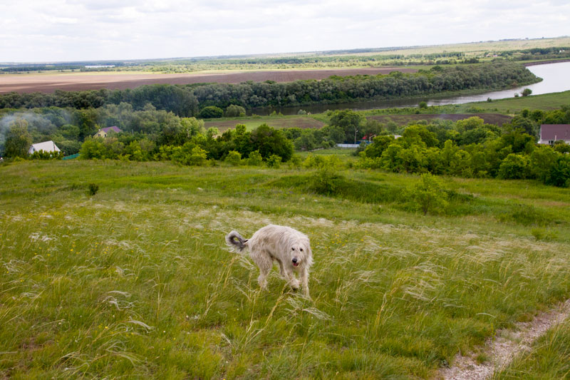 V_3260.jpg