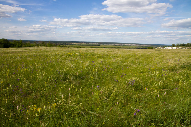 V_3292.jpg