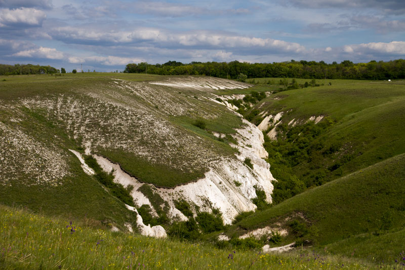 V_3293.jpg
