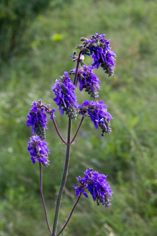 V_3301.jpg