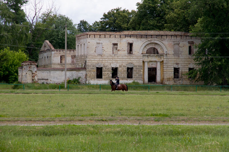 V_3305.jpg