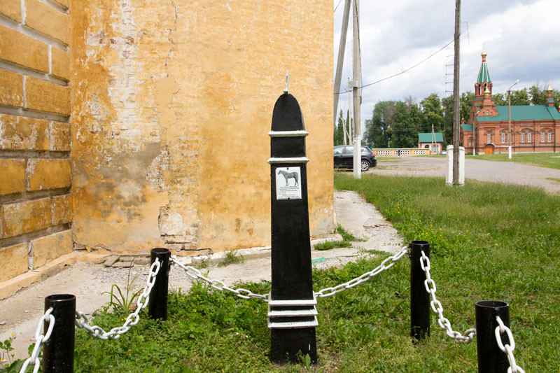 V_3311.jpg