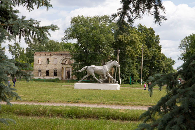 V_3313.jpg