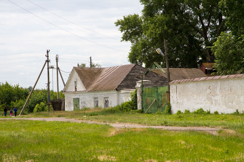 V_3317.jpg