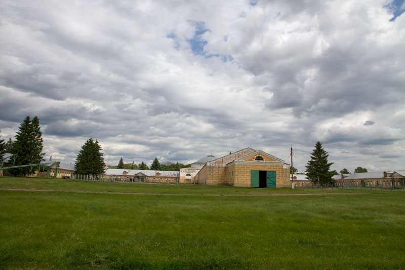 V_3334.jpg