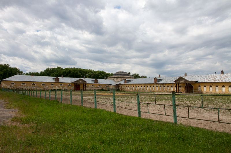 V_3335.jpg