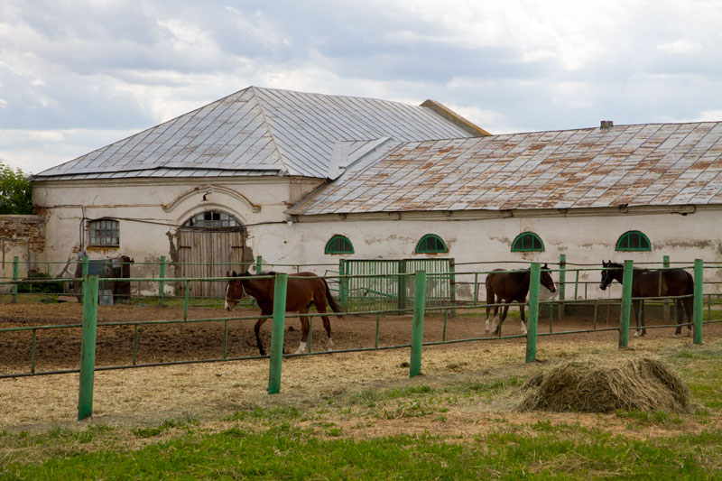 V_3339.jpg