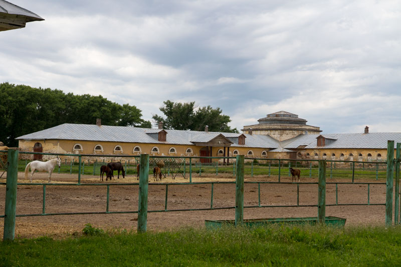 V_3343.jpg