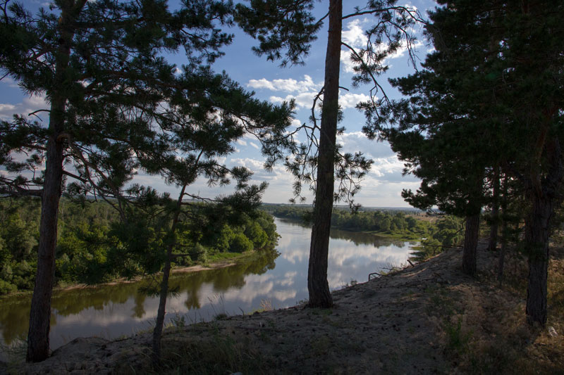 V_3354.jpg