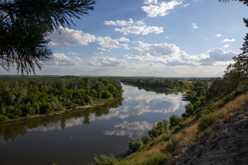 V_3355.jpg