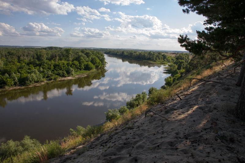 V_3358.jpg