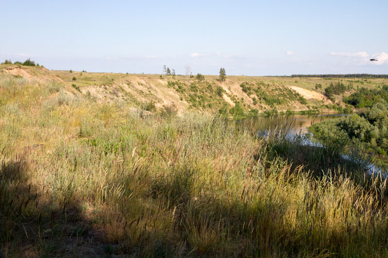 V_3359.jpg