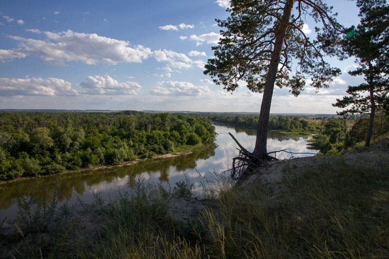 V_3360.jpg