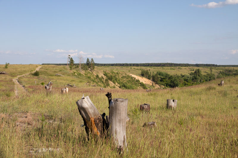 V_3361.jpg