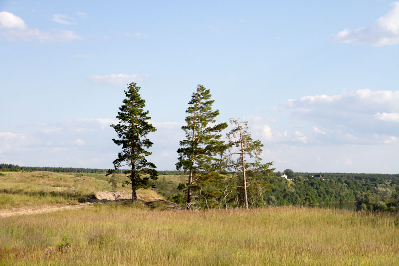 V_3366.jpg