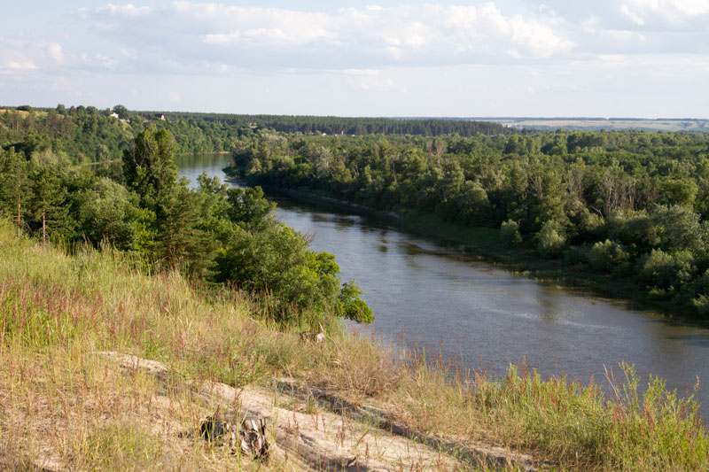 V_3368.jpg
