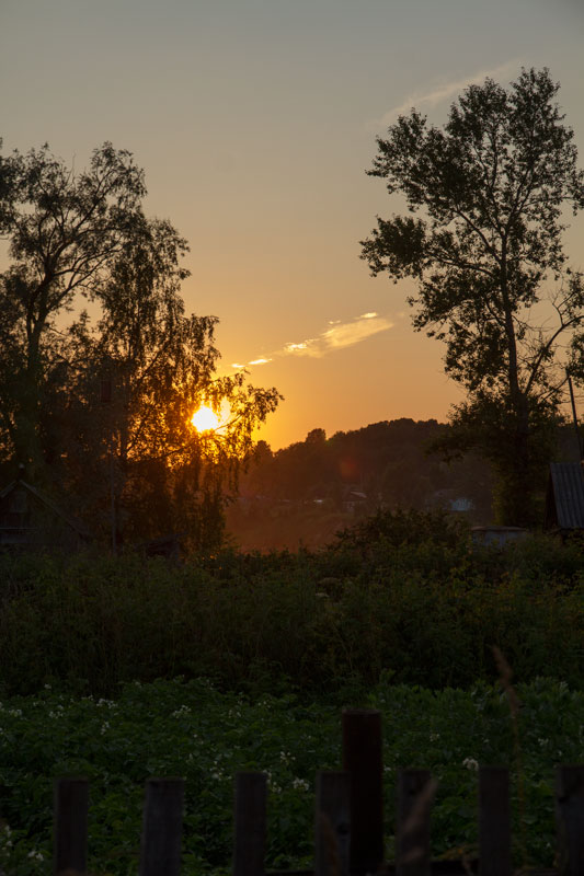 V_3969.jpg