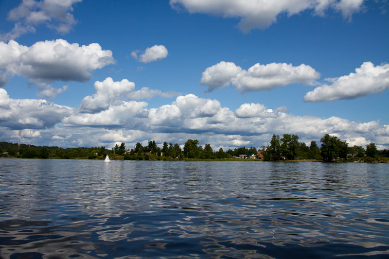 V_6558.jpg