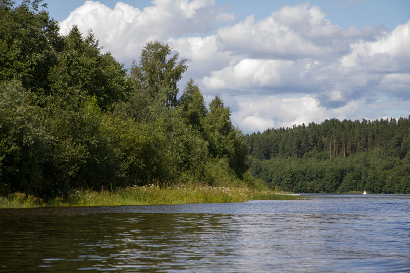 V_6625.jpg