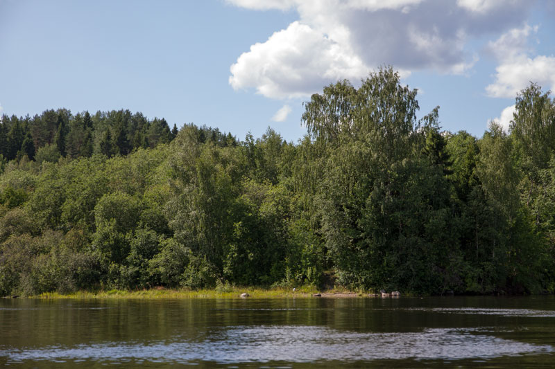 V_6627.jpg