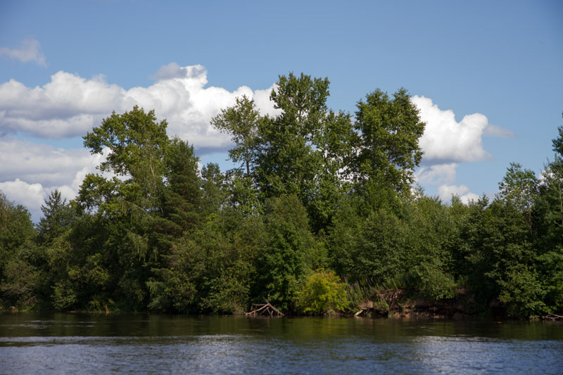 V_6628.jpg