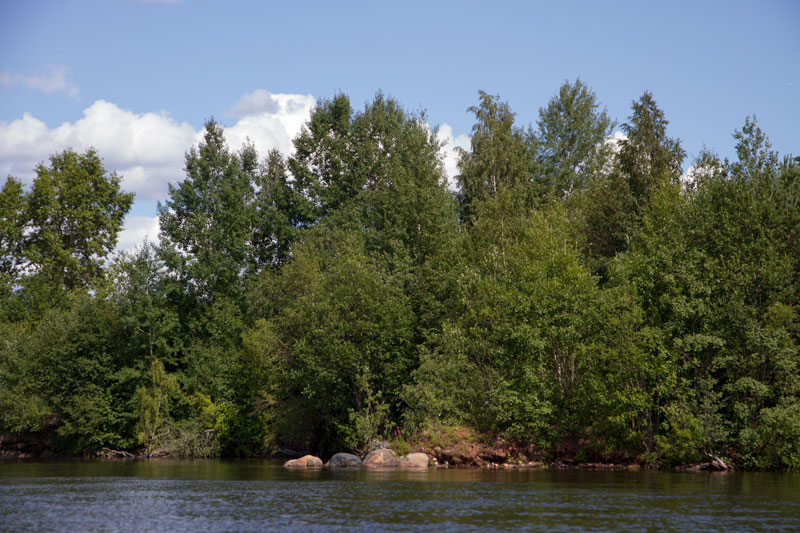 V_6629.jpg
