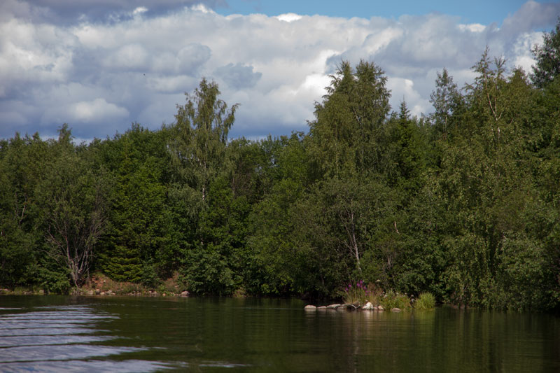 V_6635.jpg