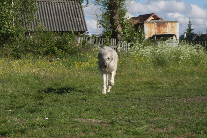 v_7942.jpg
