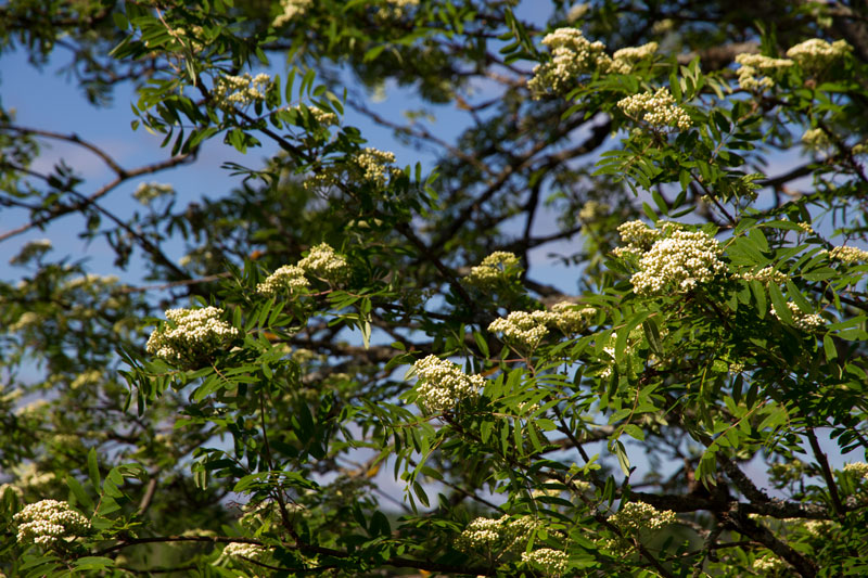 V_8065.jpg