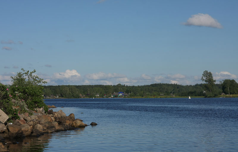 v_8071.jpg