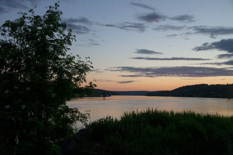 V_8079.jpg