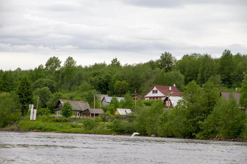 V_8096.jpg