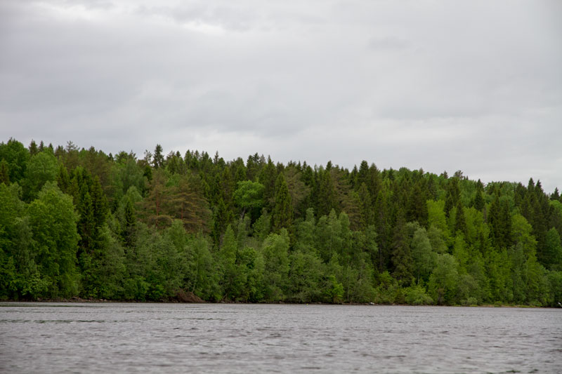 V_8104.jpg