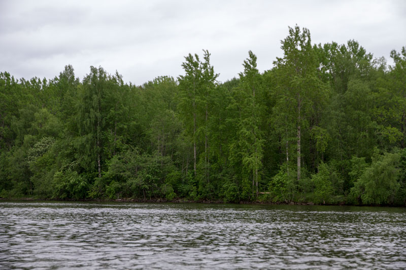 V_8114.jpg